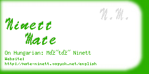 ninett mate business card